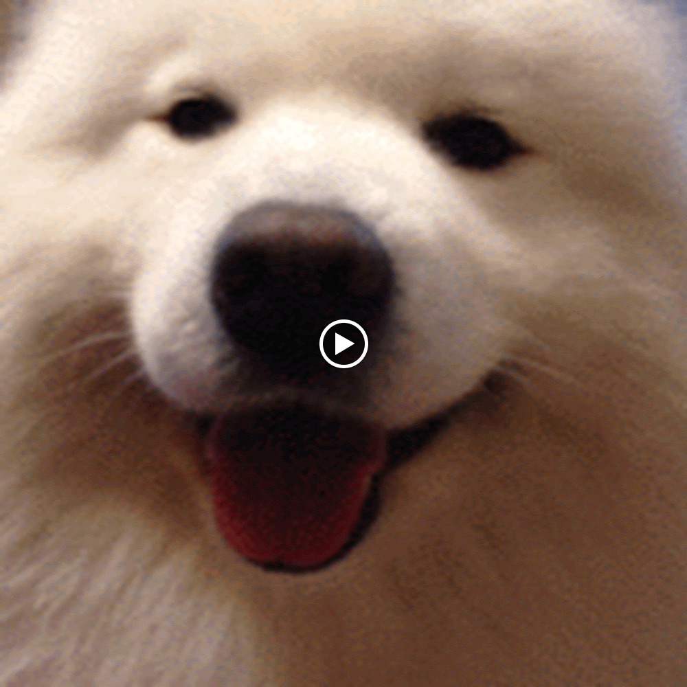 Meet your Posher, Sophia